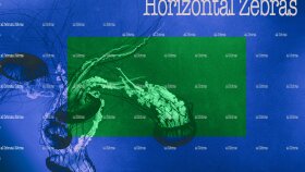 Horizontal Zebras müzik projesine yaptığım albüm kapakları