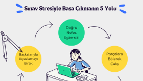 Bireysel Koçluk İçin İnfografik Instagram Gönderisi