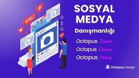 sosyal medya danışmanlığı yapıyorum