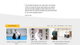 Wordpress sitenizi tam istediğiniz hale getiririm