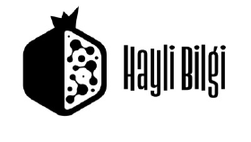 Hayli Bilgi Logo tasarımı
