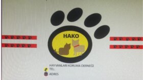 örnek olarak yaptığım kartvizit tasarımı