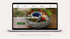 kullanıcı deneyimi odaklı, modern UX/UI tasarımlar yapıyorum