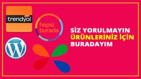 ürünlerinizin veri girişini etkili bir şekilde yaparım