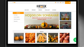 Hendexfood'un Web Sitesi Yayında!