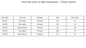  Excel veri girişi ve düzenleme hizmeti sunuyorum