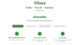 Vilusa Gıda Tek Sayfa Site Tasarımı