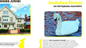 Broşür ve Kataloglar