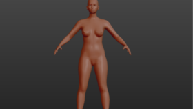 3D Model