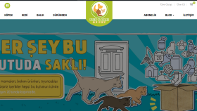 Eticaret iş örneği