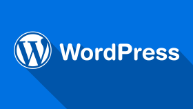 Wordpress temanızın kurulumunu gerçekleştirebilirim
