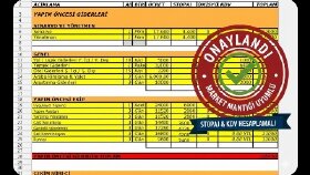 Profesyonel Sinema ve Dizi Prodüksiyon Bütçeleme (TRT & Bakanlık Formatı)