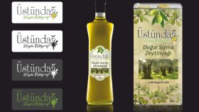 Yapılan Logo ve Mockup Çalışması