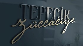 Züccaciye/Konsept Logo Tasarımı
