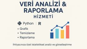 verinizi analiz eder, anlamlı ve görsel raporlar hazırlarım