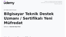 TeamViewer/AnyDesk ile bilgisayar sorunlarını çözüyorum