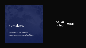 Sosyal Medya Yönetimi - Sözlükhane