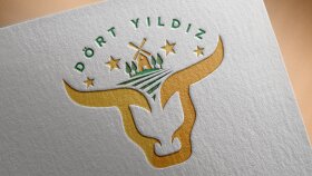 Dört Yıldız Logo ve Kurumsal Kimlik Çalışması