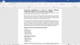 Web Sitesi Blog Çevirisi Fransızca