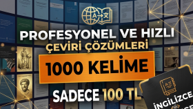 çeviriyi en profesyonel şekilde yapıyorum