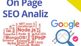 Seo Analiz