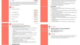 PROFESYONEL CV VE COVER LETTER TASARIMI