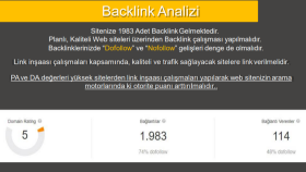 Detaylı Backlink analizi ve Önerisi
