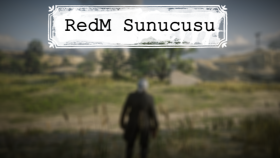 size profesyonel RedM sunucusu kurabilirim