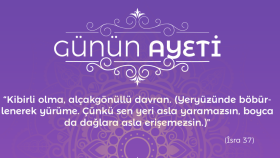 İş örneğim