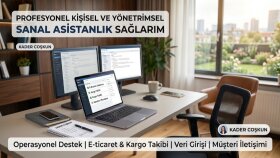 profesyonel kişisel ve yönetimsel sanal asistanlık sağlarım