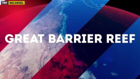 TRT Belgesel - Büyük Bariyer Resifi - Fragman
