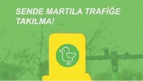 Martı Broşür Tasarımı 