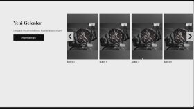 WEB Sitesi Yeni Gelenler Slider