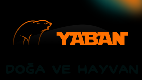 Doğa - Logo Çalışması