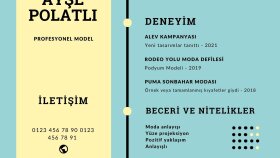 Ayşe Polatlı-CV Tasarımı