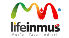 Logo Tasarımlarım
