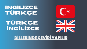 iş ve finans alanlarında çeviri yapıyorum