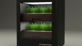 Interior Gardening