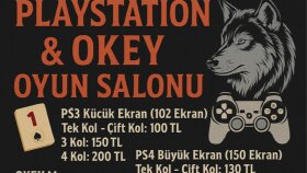 logo ve grafik broşur tasarımı yapıyorum