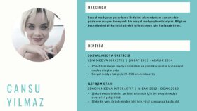 profesyonel cv ve portfolyo hazırlayabilirim