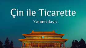 Çin ile yapacağınız ticarette profesyonel destek sağlarım