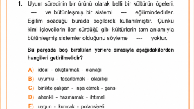 Soru yazarlığı