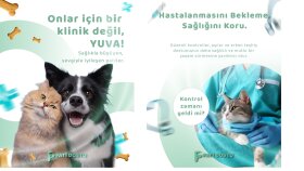 sizlere uygun sosyal medya tasarımlarını yaparım