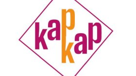 kapkap - Kurumsal logo 