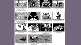 storyboardlarınızı istediğiniz gibi tasarlayabilirim