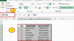 Veri girişi, tablo oluşturma, grafik oluşturma