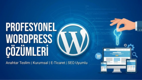 profesyonel ve seo uyumlu anahtar teslim wordpress kurarım