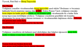 Çeviri uyarlaması