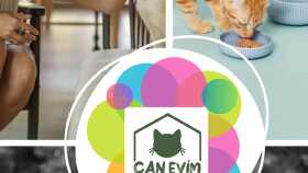 İnstagram Hikaye postları