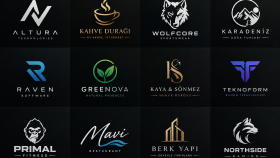 Profesyonel Logo Tasarımları